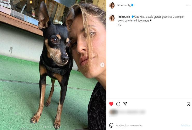 Elisabetta Canalis distrutta dal dolore