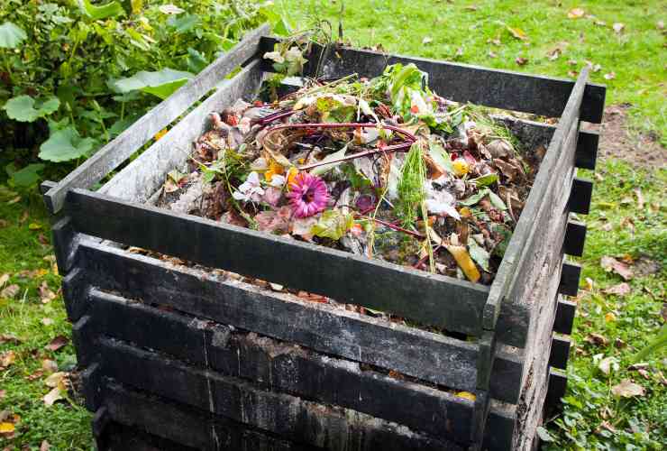 Un buon compost casalingo