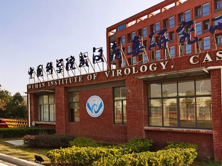 Istituto di virologia di Wuhan, Cina. Covid-19