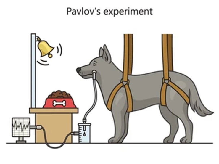 Esperimento di Pavlov