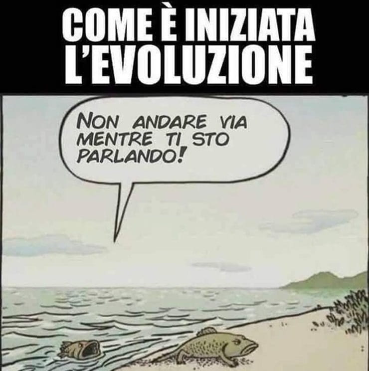 Meme su come è iniziata l’evoluzione